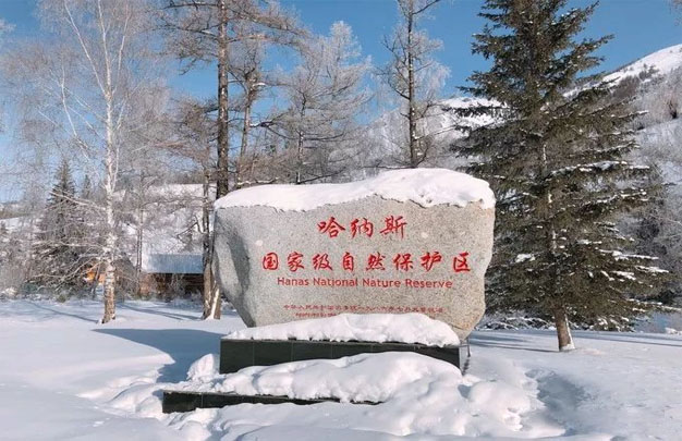未标题-20.jpg