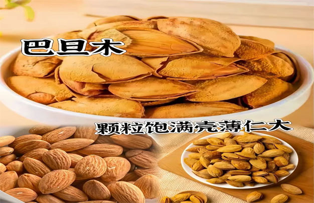 未标题-15.jpg