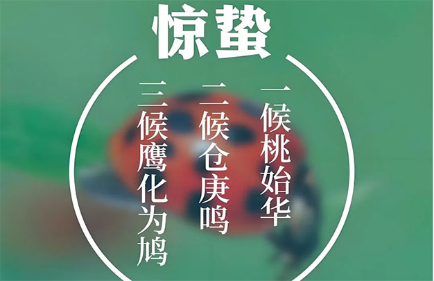 未标题-2.jpg