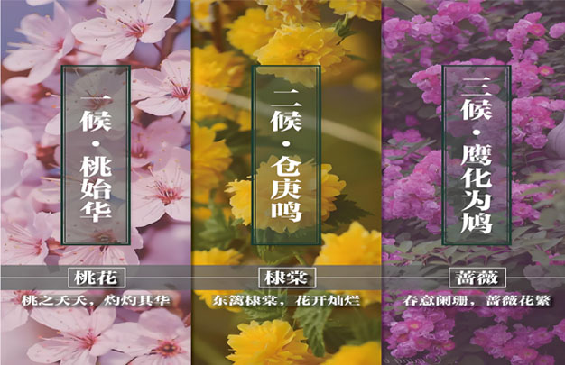 未标题-6.jpg