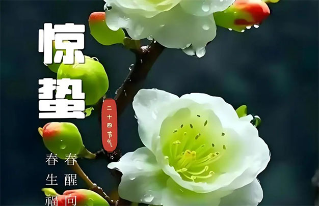 未标题-3.jpg