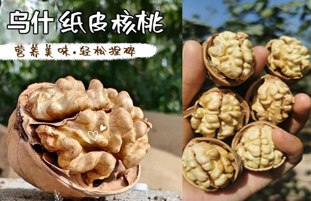 修图12.jpg
