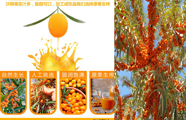 修图5.jpg
