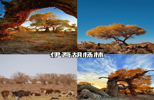 修图8.jpg
