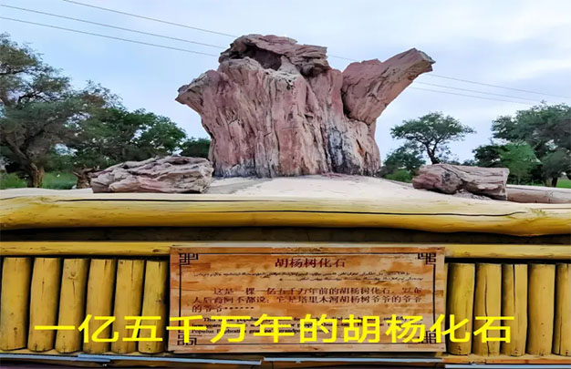 未标题-12.jpg