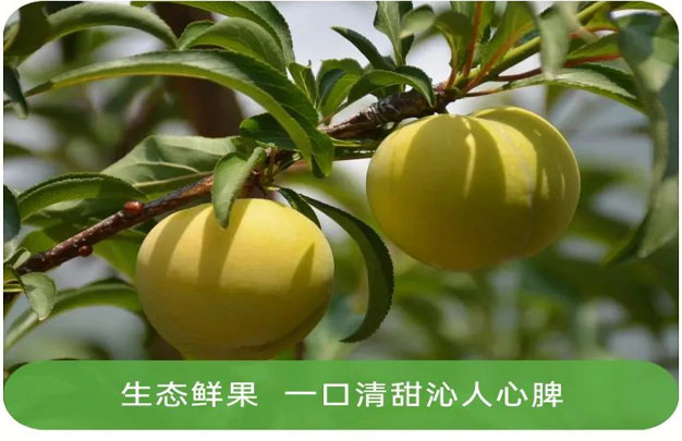 修图5.jpg