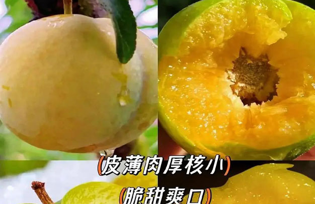 修图4.jpg