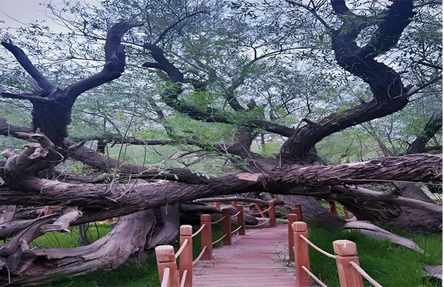 未标题-1.jpg