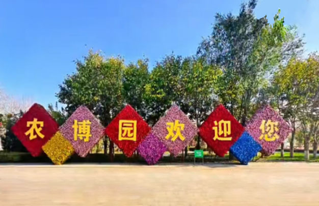 未标题-8.jpg