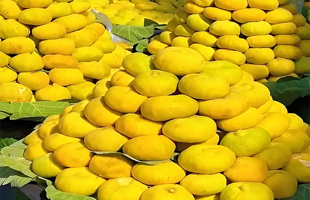 /uploads/image/2025/09/18/45f3befec5f5d4da08376d92f2aa90ca.jpg 007.jpg