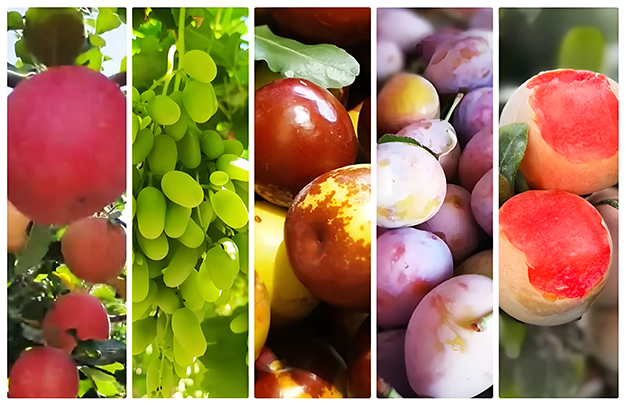 /uploads/image/2025/09/18/48cc5f985b68639526a3b76dfb7a5ecf.jpg 00100.jpg