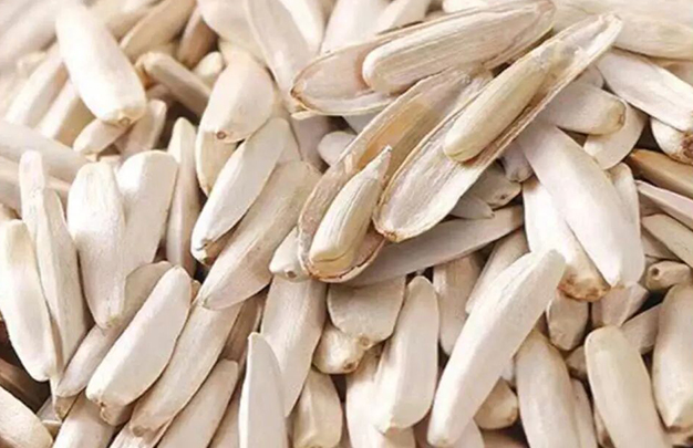 /uploads/image/2025/09/18/8b977763371ae95eb80627ad6b0778bf.jpg 1.jpg