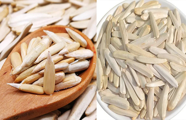 /uploads/image/2025/09/18/9046fcd9b906d5e2355c2c20fb5f335f.jpg 3.jpg