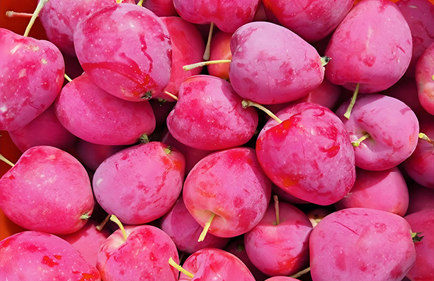 /uploads/image/2025/09/18/c18d65ccc3de23aec1231fa66ec6908f.jpg 009.jpg