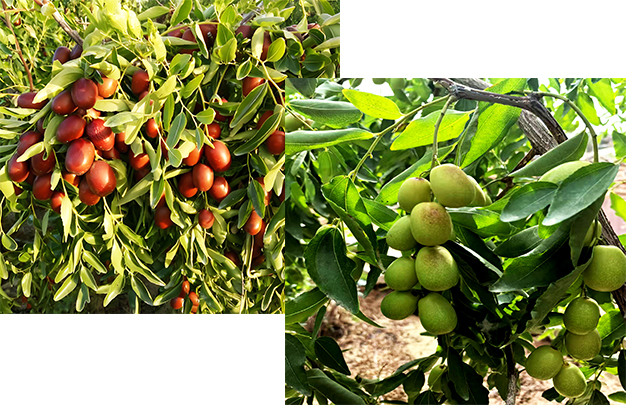 /uploads/image/2025/09/18/cf99f2cc7b40f81437b8f8584325ee94.jpg 004.jpg