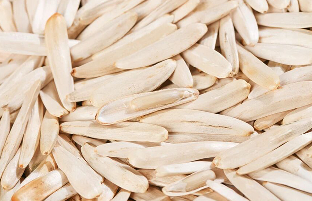 /uploads/image/2025/09/18/ddf62b08fc4bdb1a50a8bf86d6c183be.jpg 5.jpg