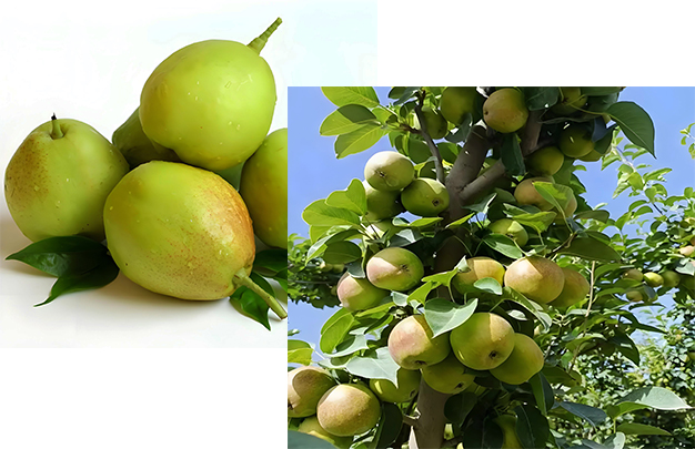 /uploads/image/2025/09/18/e0494b3714659046d6e9693754332dc8.jpg 005.jpg