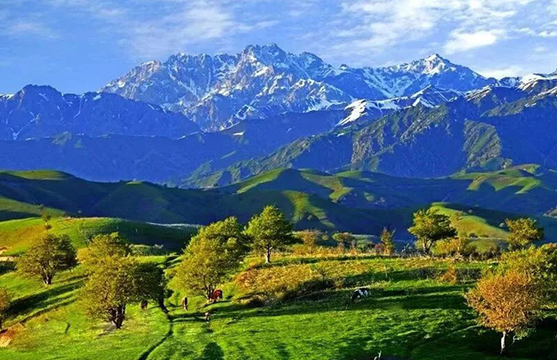 /uploads/image/2025/09/30/361858ffe0a8a3d539c035c81b2ef187.jpg 2.jpg