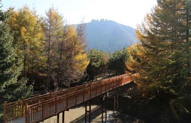 /uploads/image/2025/09/30/71f1d5d46f17defd43b4648ba4c09381.jpg 修5.jpg