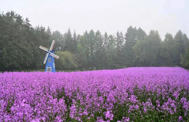 /uploads/image/2025/09/30/8fdcd19e59bbbc313b82a798d68a53b1.jpg 修3.jpg