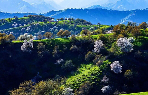 /uploads/image/2025/09/30/f1d06ee690609c8aa3a95ca4d29293ed.jpg 5.jpg