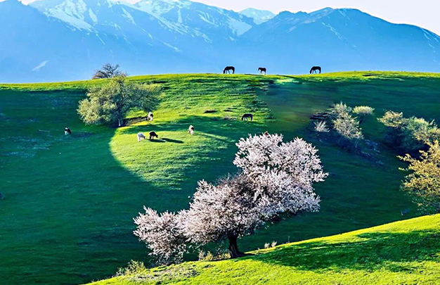 /uploads/image/2025/09/30/fc99156af034a63fc3544e26f2e83d33.jpg 3.jpg