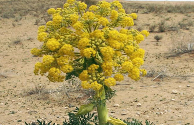 /uploads/image/2025/10/07/39e33e64dcd8c32cd21f5ea68455c541.jpg 修图3.jpg