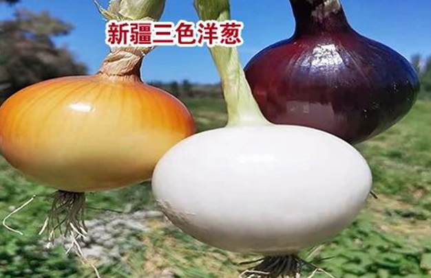 /uploads/image/2025/10/07/7a896486a8a8b6382daa54cf66729177.jpg 5.jpg