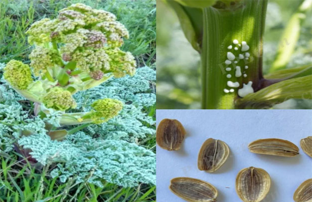 /uploads/image/2025/10/07/7e812363cc7dd442b648af9331396301.jpg 修图5.jpg