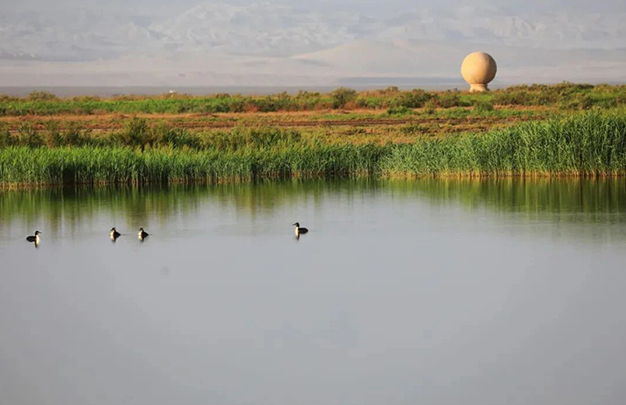 /uploads/image/2025/10/08/688b77db832258c4577d3e9028bd5a81.jpg 4.jpg