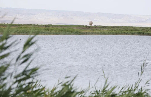 /uploads/image/2025/10/08/8d5a9070c14a1391e84b6f986b8e204a.jpg 2.jpg