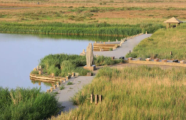 /uploads/image/2025/10/08/db7d90f6771b3c950ec55b211f383efa.jpg 6.jpg