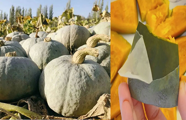 /uploads/image/2025/10/09/6a2aeb7eb1681d13a44ac8877ce08547.jpg 9.jpg