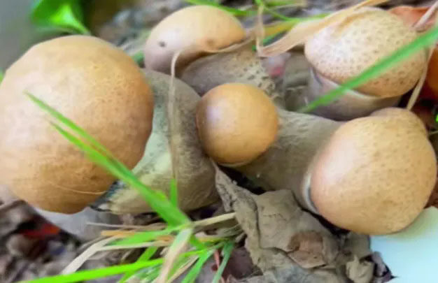 /uploads/image/2025/10/09/714aa286385ff3a54df455475e98492b.jpg 未标题-02.jpg