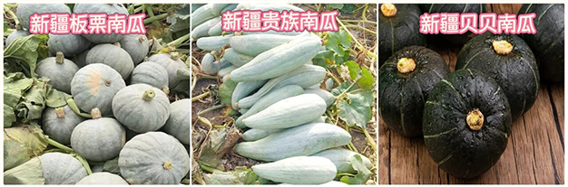 /uploads/image/2025/10/09/b1a62c427ebb1a50fd2325cddf341df0.jpg 3.jpg