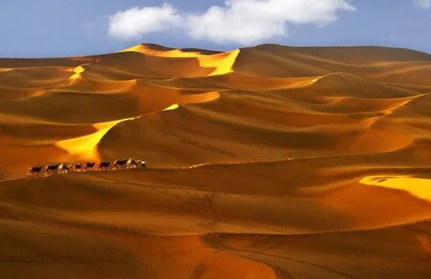 /uploads/image/2025/10/10/1e8ff7db212b67cb08f6fc4b120d9a5f.jpg 1.jpg