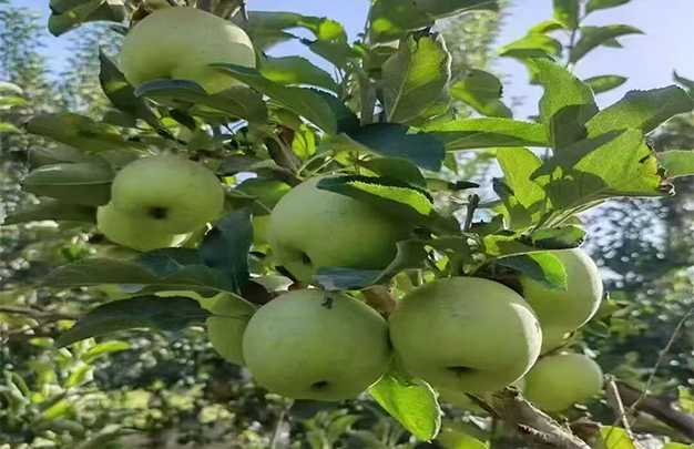 /uploads/image/2025/10/13/07f3cfc3e73838ef9171cb19172e0b4a.jpg 0023.jpg