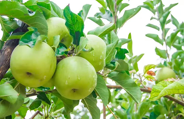 /uploads/image/2025/10/13/27aa467bbc7e2bbf3c7e65c1896bd7b7.jpg 00.jpg