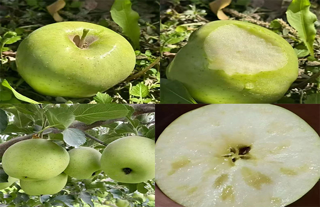 /uploads/image/2025/10/13/5dc6d4a38b4f08c52032137d36b9746d.jpg 00111.jpg