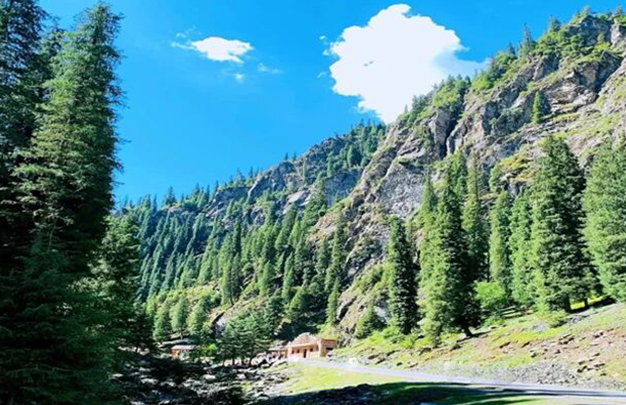 /uploads/image/2025/10/13/bb52c2ff5fa7194e900d4fd07536f078.jpg 7.jpg