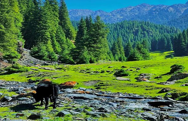 /uploads/image/2025/10/13/cd849af0f5fe5da15cd5bc7cba5b7562.jpg 8.jpg