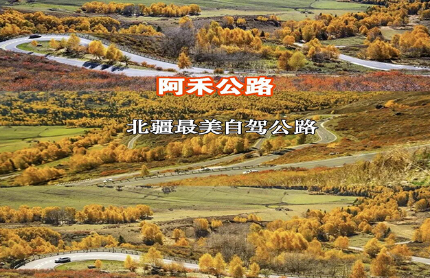 /uploads/image/2025/10/14/81e6e2076bf7786de4f51089654e8761.jpg 1.jpg