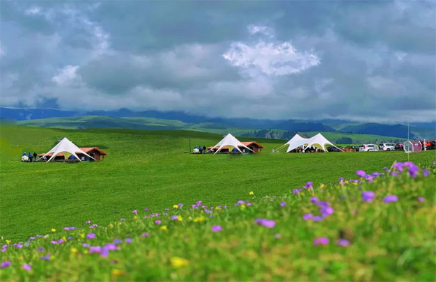 /uploads/image/2025/10/14/d0e74531481ee9c7dde979e3eac7f4f8.jpg 修图2.jpg