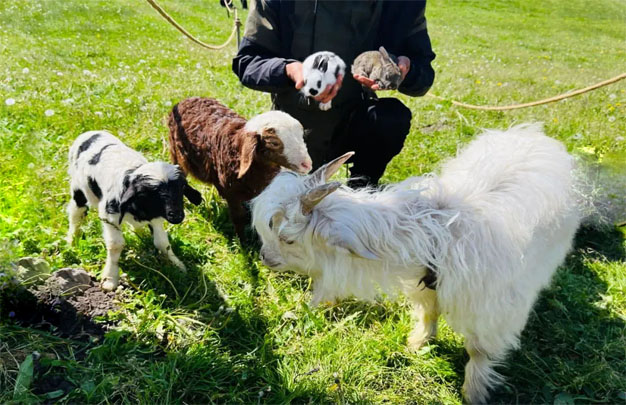 /uploads/image/2025/10/14/ee77b75db329216852b131b6cb28fa69.jpg 修图6.jpg