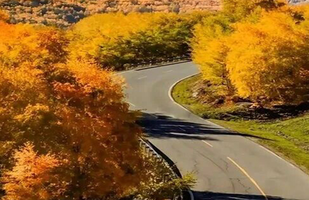 /uploads/image/2025/10/14/f827591c08e98ebf9229884933f0825d.jpg 3.jpg