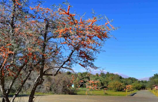 /uploads/image/2025/10/15/051ddfb049b253128288cb14662d74f4.jpg 7.jpg