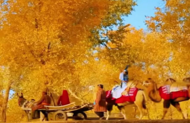 /uploads/image/2025/10/15/2dae77bc14e1d0d4ab93ef6626de1be5.jpg 未标题-5.jpg