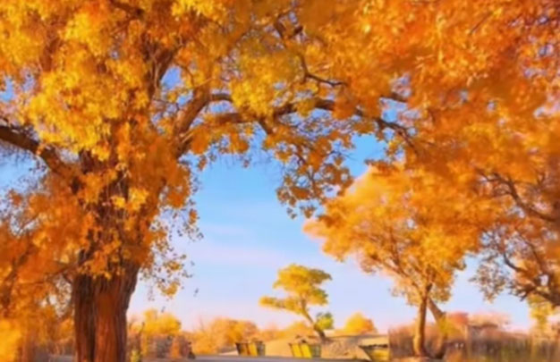 /uploads/image/2025/10/15/4c1777e3015beef9431a8529f567ad65.jpg 未标题-9.jpg