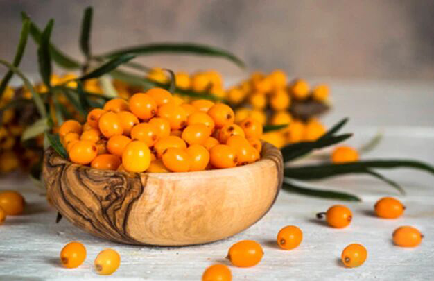 /uploads/image/2025/10/15/5288b93d7bb6aeb59a65e0de67c0b2d2.jpg 2.jpg