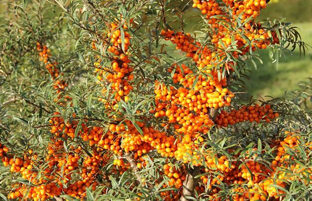 /uploads/image/2025/10/15/684b053fc1a6878566ffef909ad42d17.jpg 1.jpg